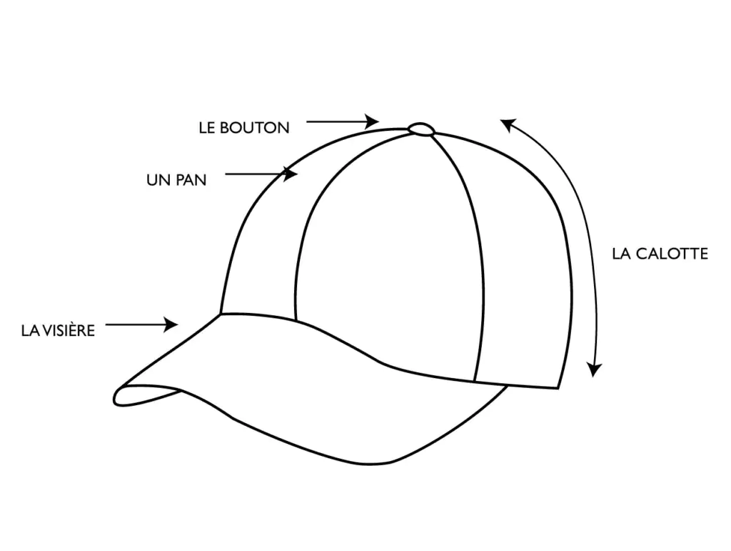 Anatomie Casquette Nom Caractéristique Calotte