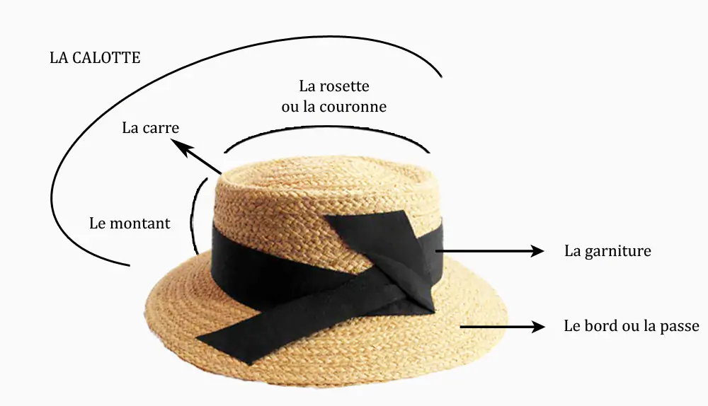 anatomie du chapeau