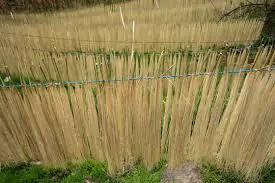 Sechage Fibre Paille