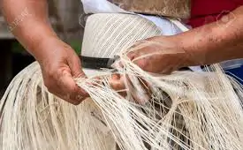 Tressage Panama